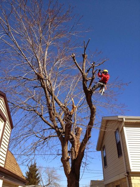 Precision Lawn & Landscape LLC