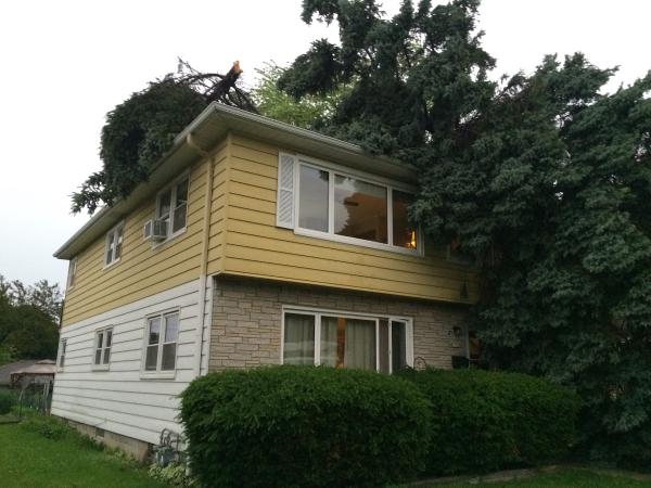 Precision Lawn & Landscape LLC