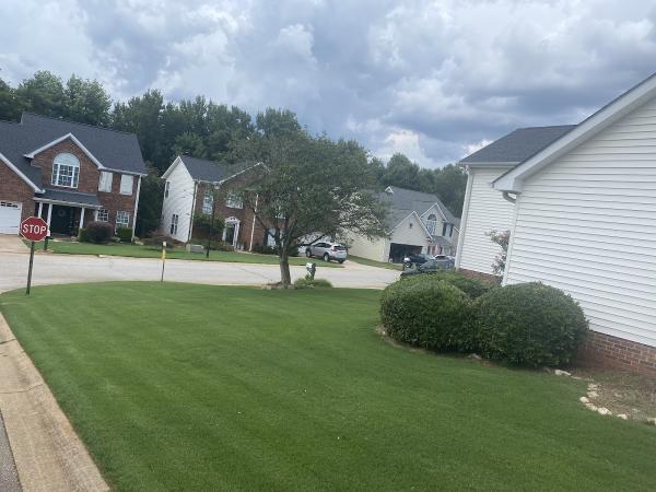 Grey Fox Lawn Care