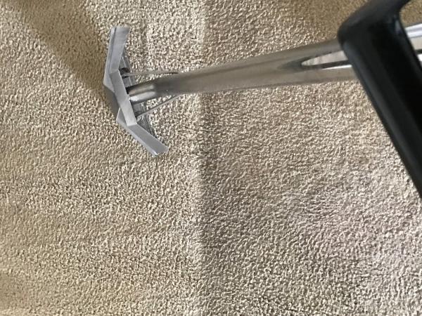 Conley's Carpet Cleaning Plus