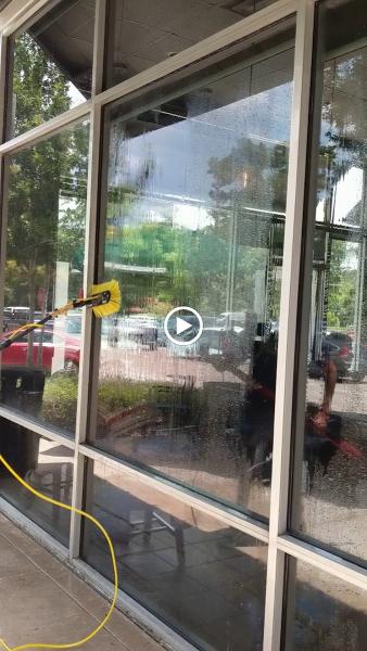 Organic Green Window Clean