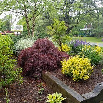 Green Care Landscaping
