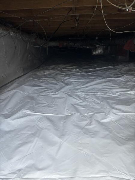 Peek Mold Control