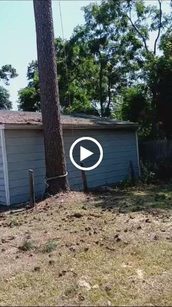 Almeida's Tree Services