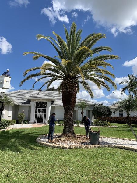 Del's Landscape & Tree Service