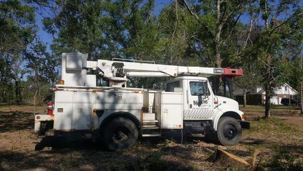 Swamp Donkey Land Services