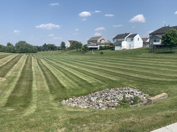 Meadowbrook Landscaping