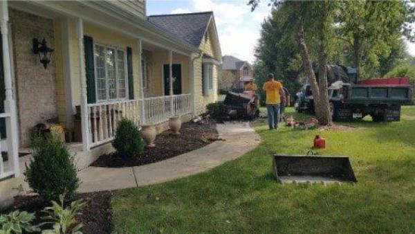 Sunnyside Landscaping & Tree Service