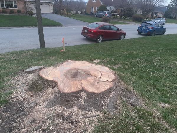 Sunny Slope Tree Service