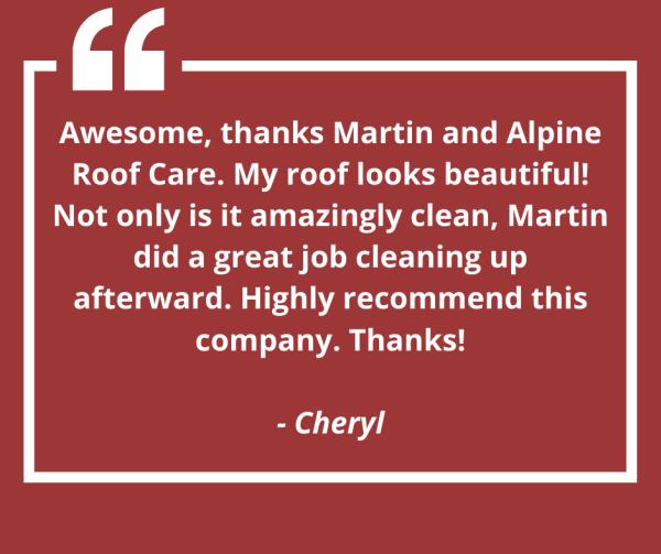 Alpine Roof Care