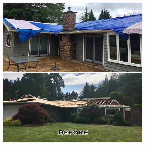 Alpine Roof Care