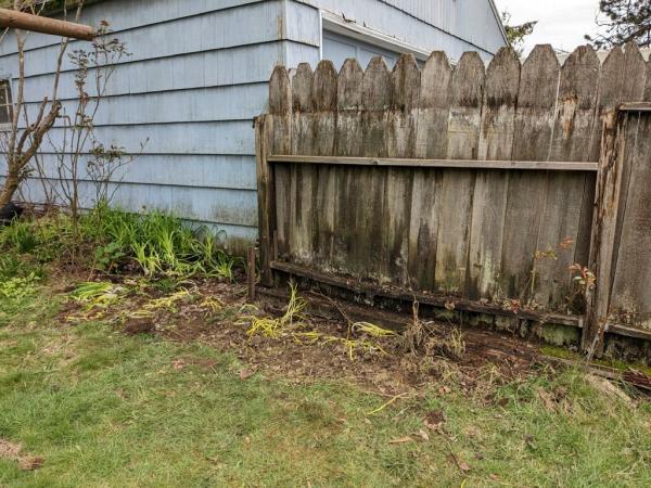Wedo Junk Removal