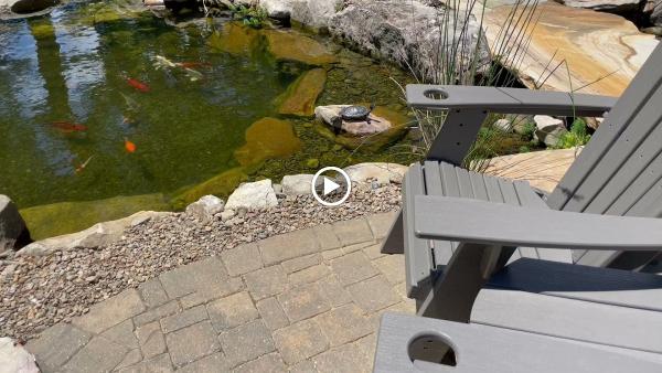 Black Koi Water Features and Ponds