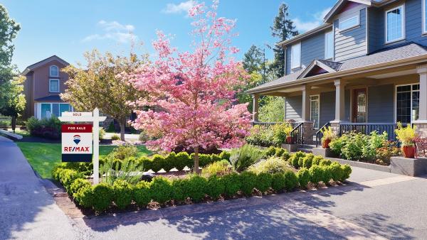 Sarah Whitefield Realtor at Re/Max Equity Group