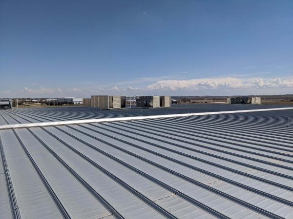 Blue Frog Roofing Limited