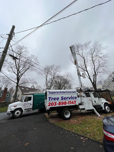 Superior Arbor Care