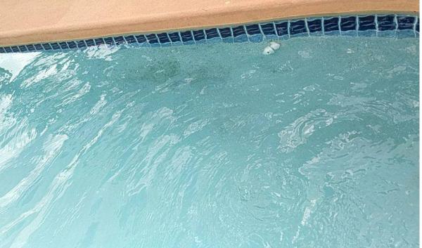 MR. Pool Service LLC