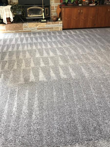 Nelson Carpet Cleaning