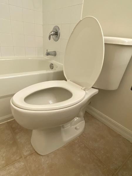 Cortez Cleaning Services