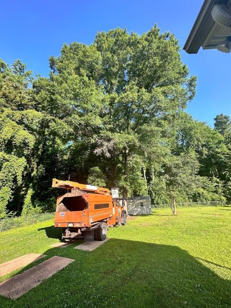 Tree Techs