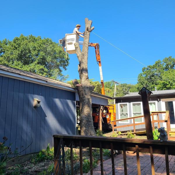 Tree Techs