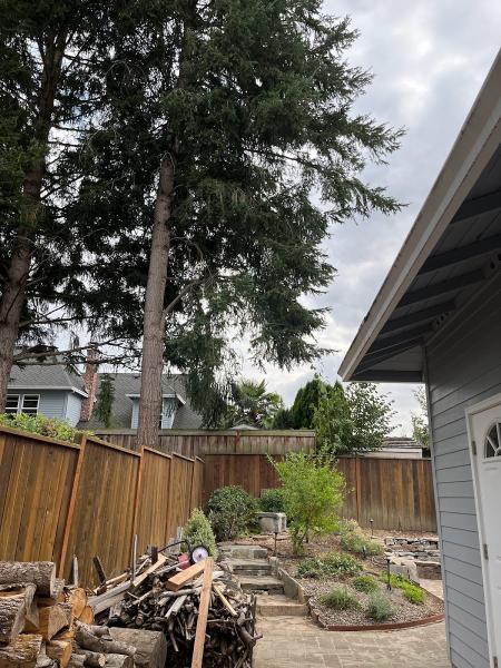 503 Tree Service LLC