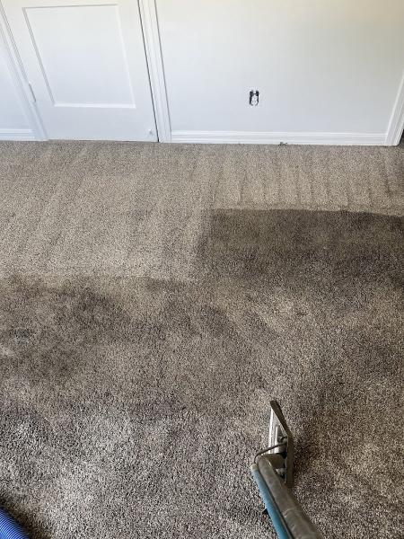 Steambright Carpet Care