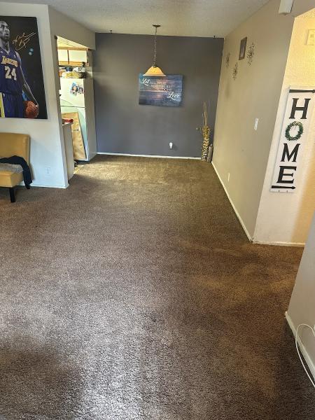 Steambright Carpet Care