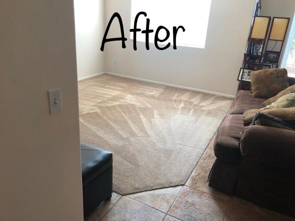 Steambright Carpet Care
