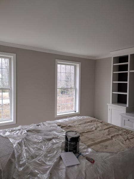 Mikey d'S Painting Co