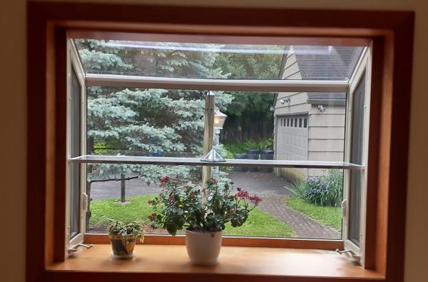 Window Gurus