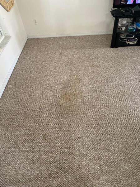 Precision Carpet