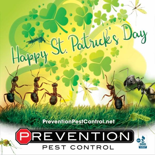 Prevention Pest Control