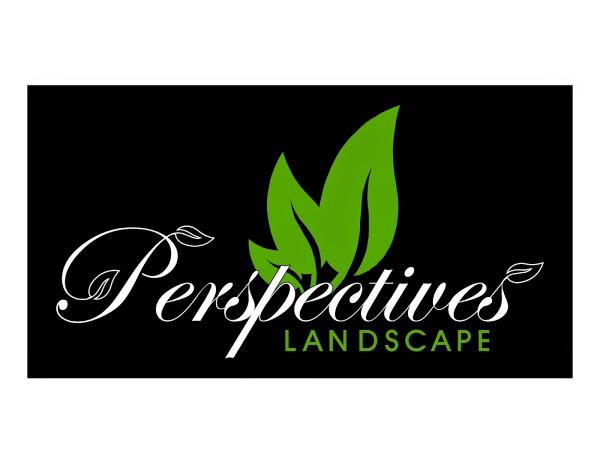 Perspectives Landscape