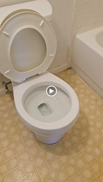 5 Star Cleaning Services