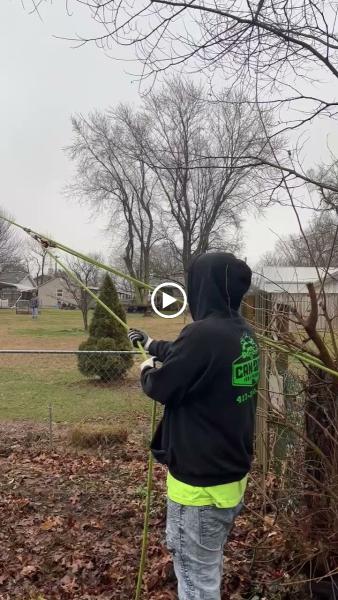 Canopy Tree Service