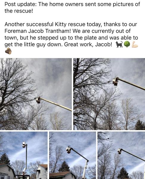 Canopy Tree Service