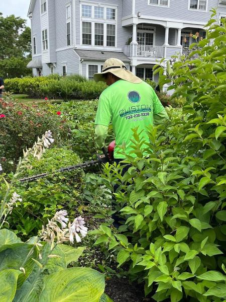 Custom Landscaping & Lawn Care