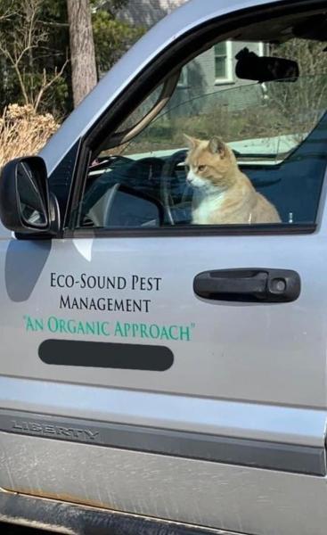 Eco-Sound Pest Management