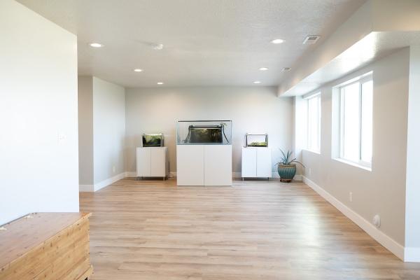 Panden Construction and Basement Finishing