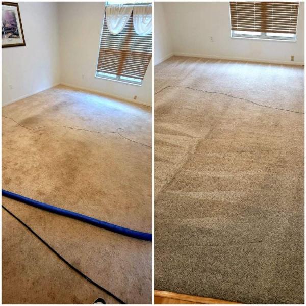 Quality Carpet Cleaning Solutions LLC