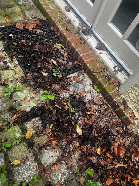 Snarski's Landscaping