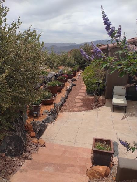 Great Scapes Landscape Management
