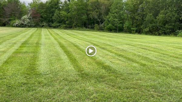 Green Branch Landscaping