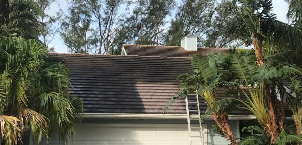 KZ Pressure Cleaning & Painting