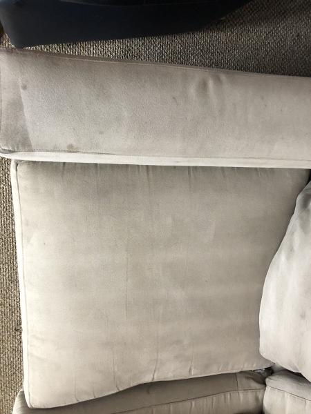 Pro Tech Carpet Cleaning Services & More