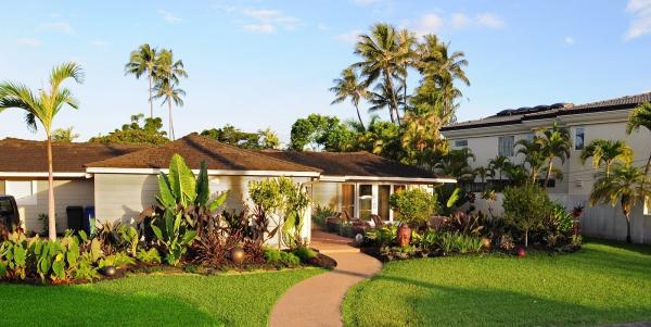 Treescape Hawaii