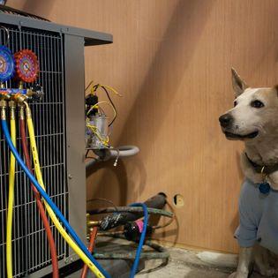 Our Place Air & Home Repair