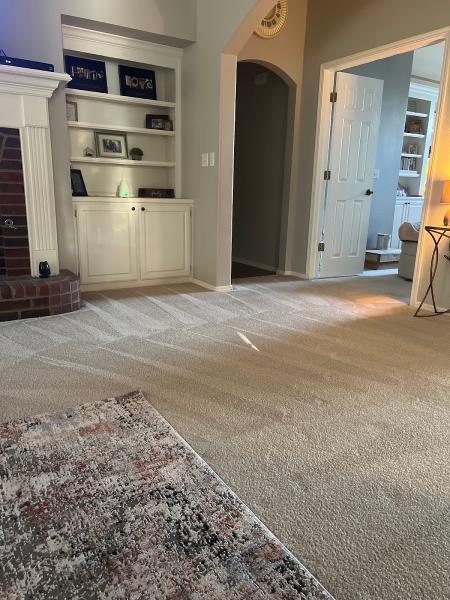 Pristine Carpet & Tile Cleaning