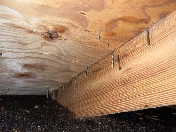 Central Florida Home Inspectors LLC